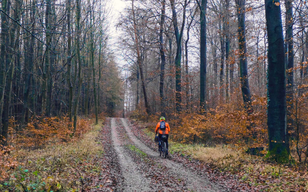 A cyclist wearing an orange jacket and helmet rides a dirt forest path lined with bare trees in autumn leaves.