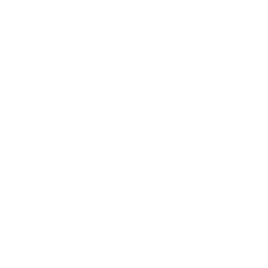 Bullseye target reticle with concentric circles and crosshair lines on a black background, centered dot in the middle